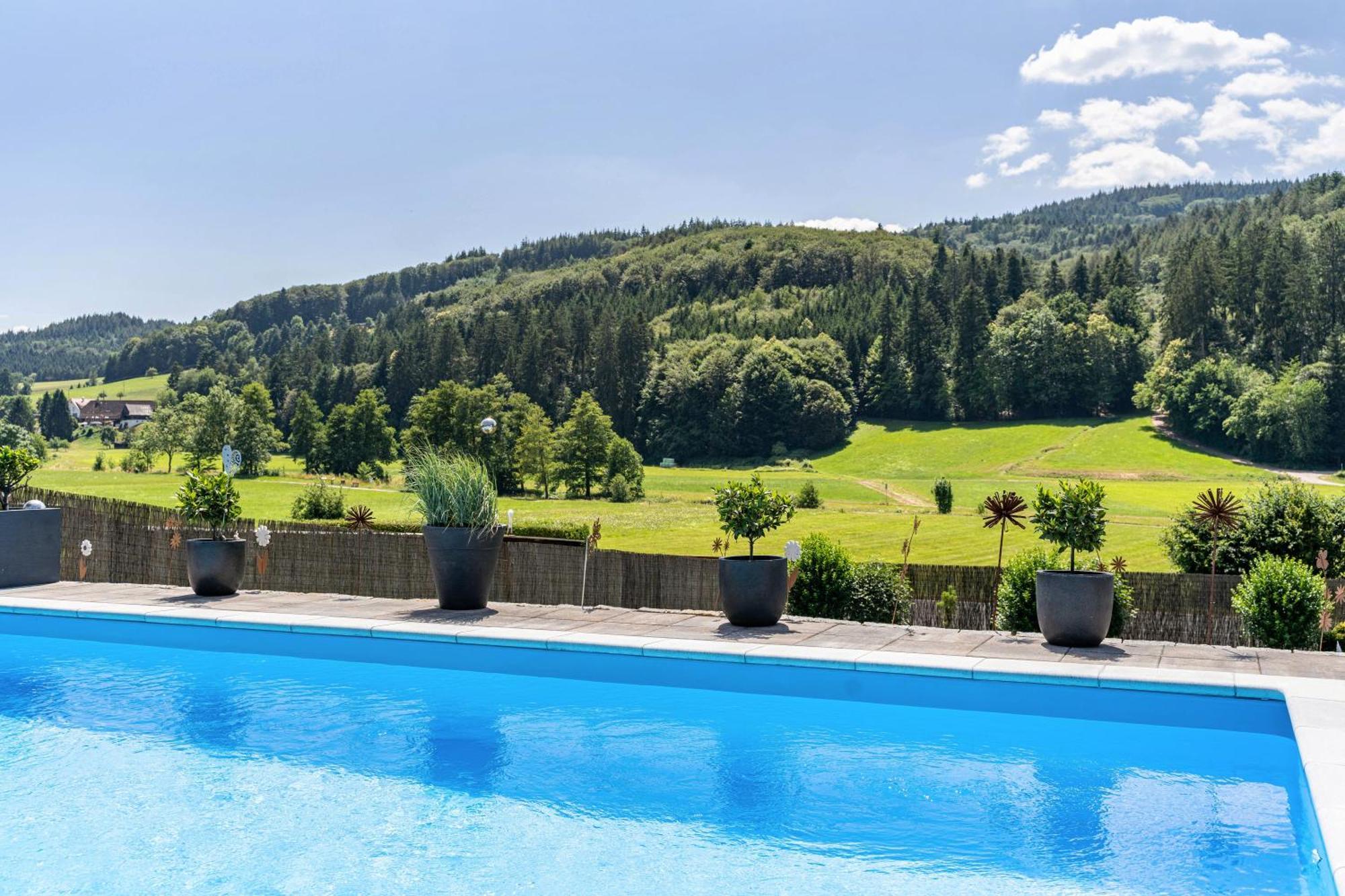 Ferienwohnung Geisbergblick Seelbach  Exterior photo